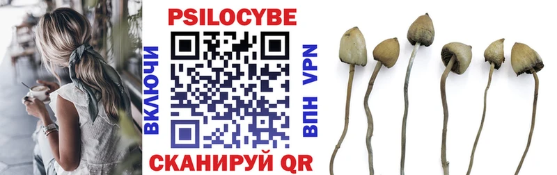 дарнет шоп  Челябинск  Псилоцибиновые грибы Psilocybine cubensis 