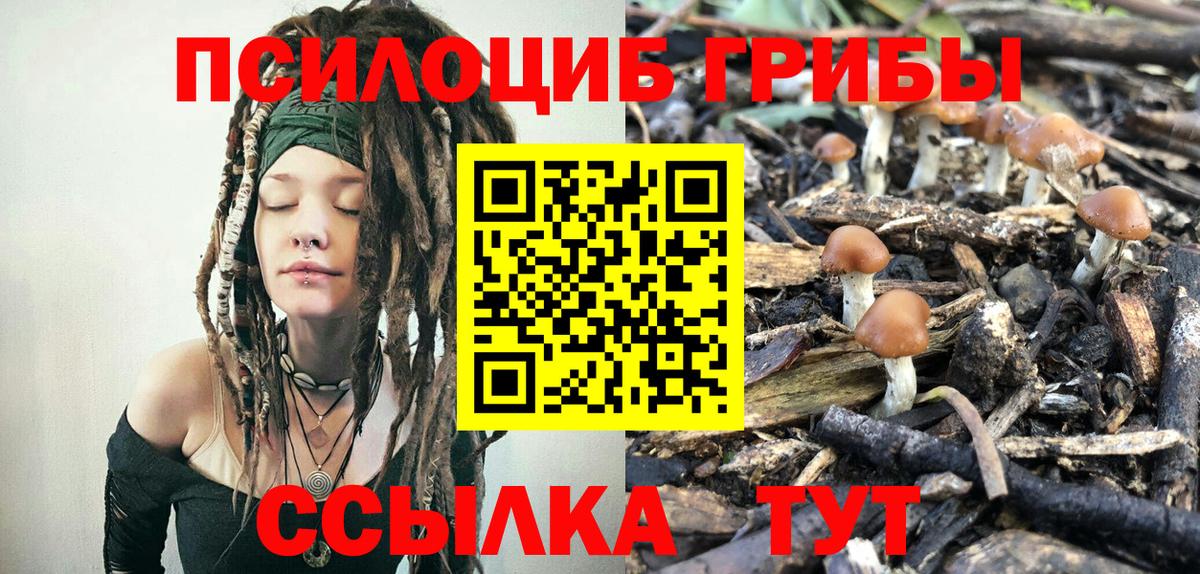 Псилоцибиновые грибы Magic Shrooms  Вход с VPN  Челябинск 